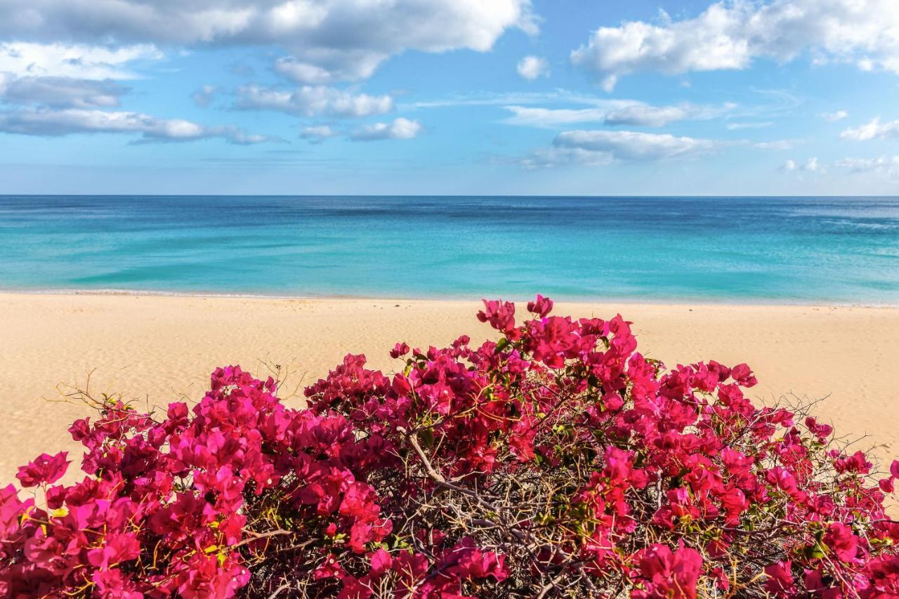 8210 Bungalow Costa Calma Wifi المظهر الخارجي الصورة